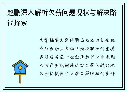 赵鹏深入解析欠薪问题现状与解决路径探索