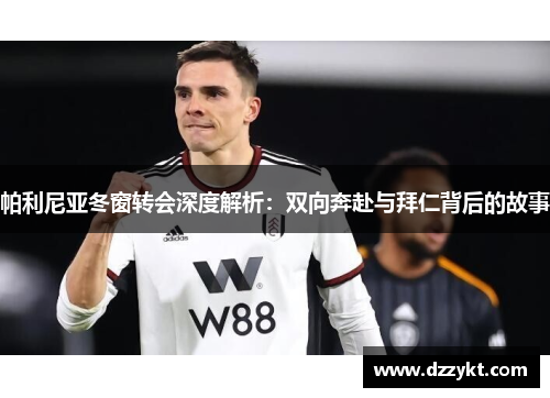 帕利尼亚冬窗转会深度解析：双向奔赴与拜仁背后的故事