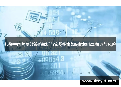 投资中国的高效策略解析与实战指南如何把握市场机遇与风险